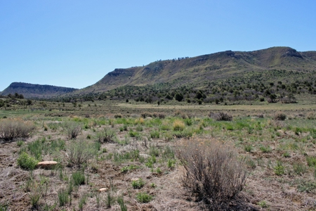 Rare Acreage For Sale Minutes From Durgano, Co! - image 13