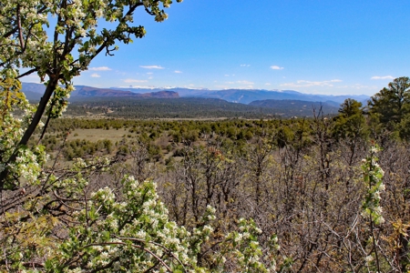 Rare Acreage For Sale Minutes From Durgano, Co! - image 8