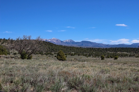 Rare Acreage For Sale Minutes From Durgano, Co! - image 15