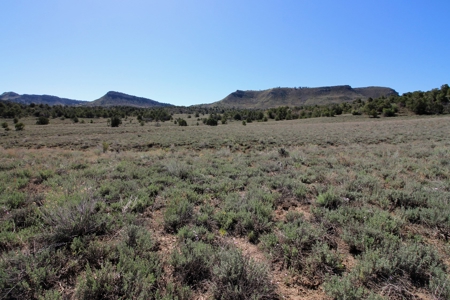 Rare Acreage For Sale Minutes From Durgano, Co! - image 21