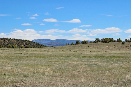 Rare Acreage For Sale Minutes From Durgano, Co! - image 3