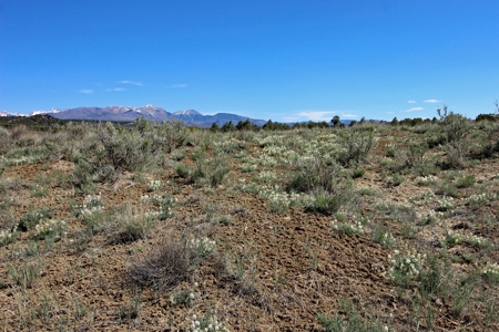 Rare Acreage For Sale Minutes From Durgano, Co! - image 18