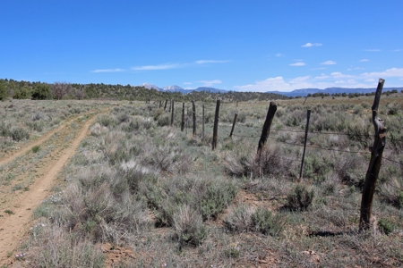 Rare Acreage For Sale Minutes From Durgano, Co! - image 5