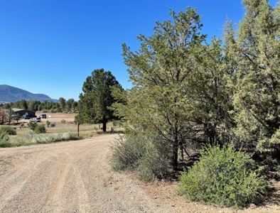 Rare Acreage For Sale Minutes From Durgano, Co! - image 28