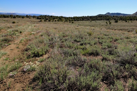 Rare Acreage For Sale Minutes From Durgano, Co! - image 22
