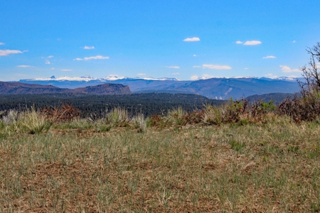 Rare Acreage For Sale Minutes From Durgano, Co! - image 10