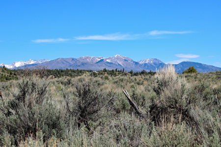Rare Acreage For Sale Minutes From Durgano, Co! - image 1