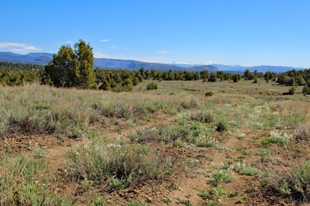 Rare Acreage For Sale Minutes From Durgano, Co! - image 23
