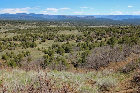 Rare Acreage For Sale Minutes From Durgano, Co! - image 9