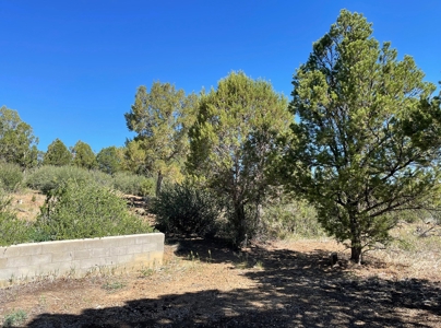 Rare Acreage For Sale Minutes From Durgano, Co! - image 29
