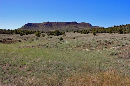 Rare Acreage For Sale Minutes From Durgano, Co! - image 17