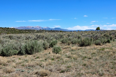 Rare Acreage For Sale Minutes From Durgano, Co! - image 6