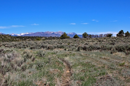 Rare Acreage For Sale Minutes From Durgano, Co! - image 14