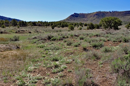 Rare Acreage For Sale Minutes From Durgano, Co! - image 16