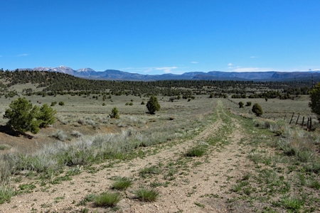 Rare Acreage For Sale Minutes From Durgano, Co! - image 25