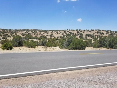 Rare 40± Acres with Highway Frontage in Madrid near Santa Fe - image 1
