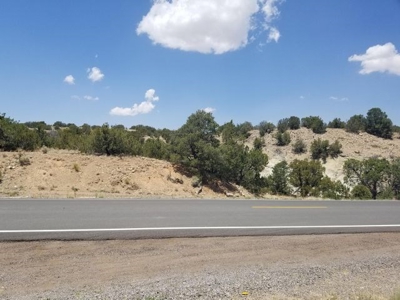 Rare 40± Acres with Highway Frontage in Madrid near Santa Fe - image 2