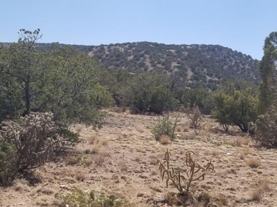 Rare 40± Acres with Highway Frontage in Madrid near Santa Fe - image 4