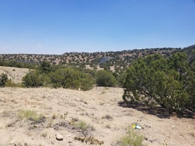 Rare 40± Acres with Highway Frontage in Madrid near Santa Fe - image 5