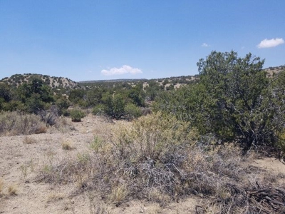 Rare 40± Acres with Highway Frontage in Madrid near Santa Fe - image 3