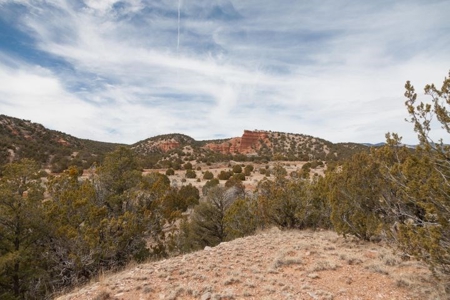 Mountainair, NM Country Home in Torrance County on 20± Acres - image 24