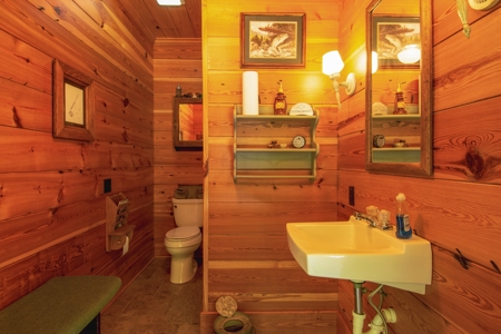 Pending Cabin on the Cumberland River, Albany KY - image 23