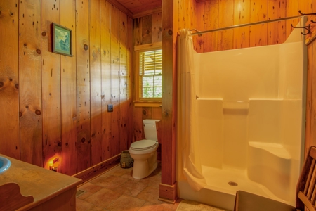 Pending Cabin on the Cumberland River, Albany KY - image 45