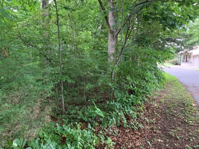 Pending - Wooded Lot on Dale Hollow Lane, Albany KY - image 3