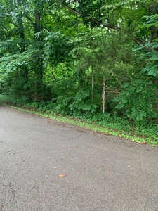 Pending - Wooded Lot on Dale Hollow Lane, Albany KY - image 1