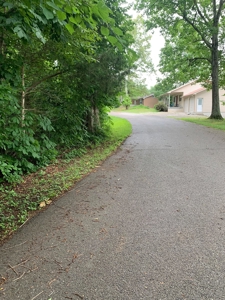Pending - Wooded Lot on Dale Hollow Lane, Albany KY - image 5