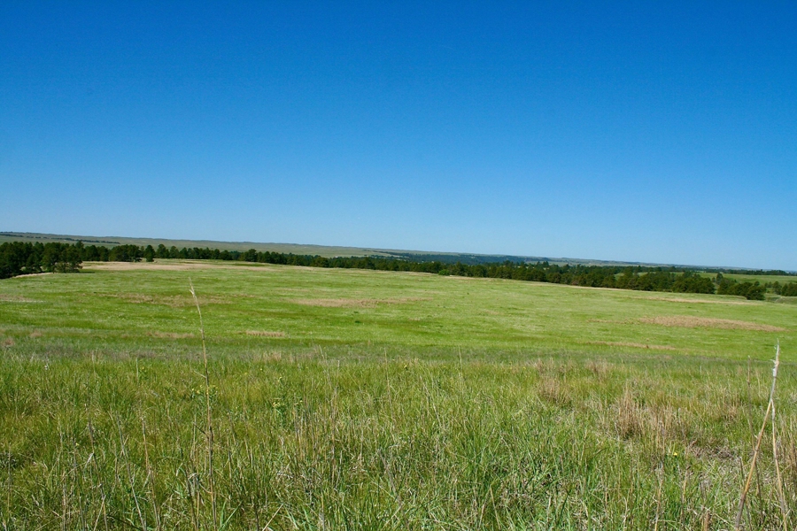 Nebraska Hardgrass Ranch for Sale