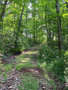 Recreational & Hunting Land For Sale in Hancock County, TN - image 37