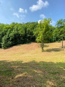 Recreational & Hunting Land For Sale in Hancock County, TN - image 33