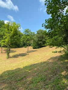 Recreational & Hunting Land For Sale in Hancock County, TN - image 32