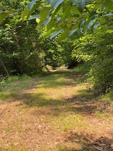 Recreational & Hunting Land For Sale in Hancock County, TN - image 30