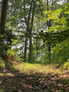 Recreational & Hunting Land For Sale in Hancock County, TN - image 38