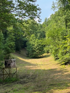 Recreational & Hunting Land For Sale in Hancock County, TN - image 29