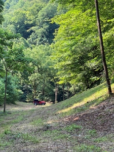 Recreational & Hunting Land For Sale in Hancock County, TN - image 21