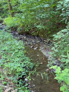 Recreational & Hunting Land For Sale in Hancock County, TN - image 26