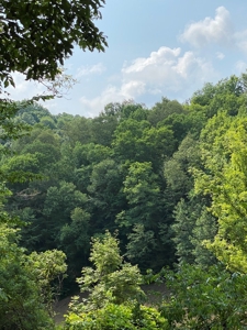 Recreational & Hunting Land For Sale in Hancock County, TN - image 36