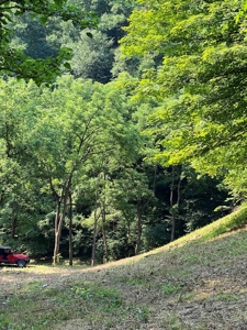 Recreational & Hunting Land For Sale in Hancock County, TN - image 19