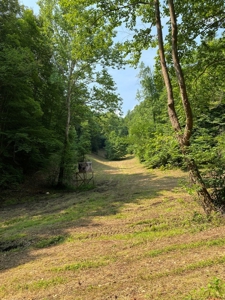 Recreational & Hunting Land For Sale in Hancock County, TN - image 28
