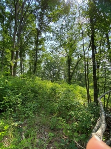 Recreational & Hunting Land For Sale in Hancock County, TN - image 41