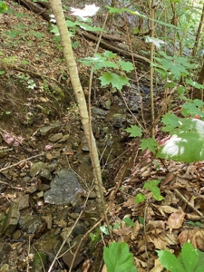 Recreational & Hunting Land For Sale in Hancock County, TN - image 8