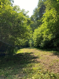 Recreational & Hunting Land For Sale in Hancock County, TN - image 10