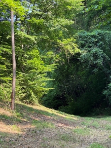 Recreational & Hunting Land For Sale in Hancock County, TN - image 20