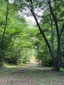 Recreational & Hunting Land For Sale in Hancock County, TN - image 24