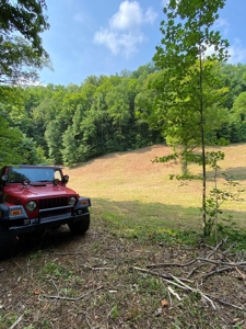 Recreational & Hunting Land For Sale in Hancock County, TN - image 34