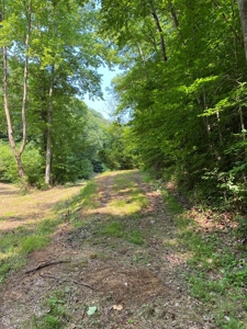 Recreational & Hunting Land For Sale in Hancock County, TN - image 27