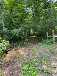 Recreational & Hunting Land For Sale in Hancock County, TN - image 46